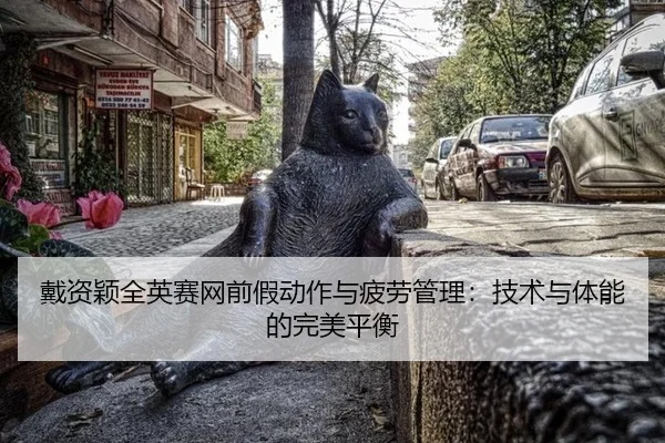 dai-zi-ying-quan-ying-sai-wang-qian-jia-dong-zuo-yu-pi-lao-guan-li-ji-shu-yu-ti-neng-de-wan-mei-ping-heng-3-809.jpg
