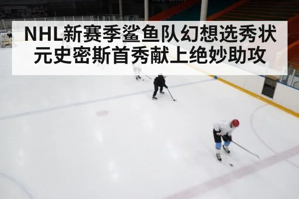 ice hockey rink