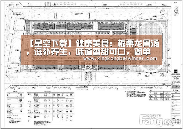 【星空下载】健康美食：板栗龙骨汤，滋补养生，味道香甜可口，简单做法